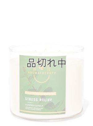 画像1: 【Bath&BodyWorks】3-wickキャンドル（14.5oz）：Stress Relief-ユーカリスペアミント