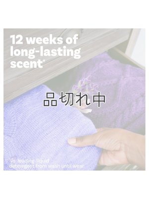 画像3: 【Downy/ダウニー】セントブースター(加香剤)18.2oz：CALM ラベンダー&バニラビーン