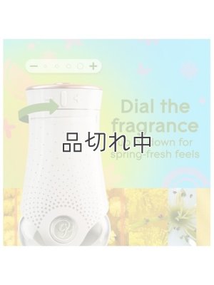 画像6: 【glade】プラグインオイルリフィル(2個入)：レイディアントブルーム