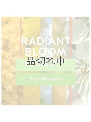 画像4: 【glade】プラグインオイルリフィル(2個入)：レイディアントブルーム