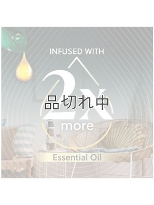 画像3: 【エアーウィック】プラグインオイルリフィル(2個入)：アイランドココナッツ＆ウォームサンド