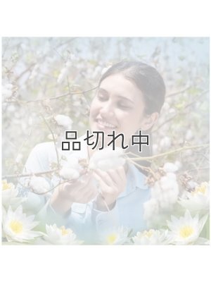 画像2: 【エアーウィック】プラグインオイルリフィル(2個入)：コットン＆ホワイトロータス