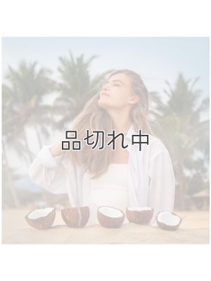 画像2: 【エアーウィック】プラグインオイルリフィル(2個入)：アイランドココナッツ＆ウォームサンド