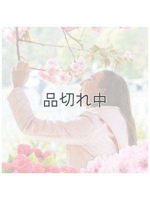 画像2: 【エアーウィック】プラグインオイルリフィル(2個入)：チェリーブロッサム＆ラズベリー