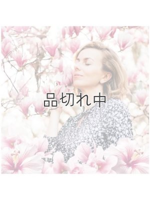 画像2: 【エアーウィック】プラグインオイルリフィル(2個入)：スイートハイビスカス＆マグノリア