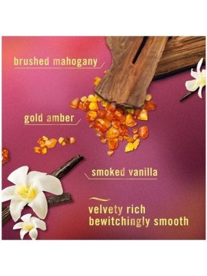 画像4: 【USファブリーズ】プラグインオイルリフィル(2セット入)：バニラスエード