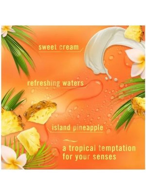 画像5: 【USファブリーズ】プラグインオイルリフィル(2セット入)：トロピカルブレンド