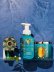 画像3: 【Bath&BodyWorks】《Disney Princessコラボ》香りの強さが調節できる★Wallflowers本体 Scent Control：ジャスミン (3)