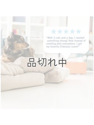 画像6: 【USファブリーズ】プラグインオイルリフィル(2セット入)：バニラスエード