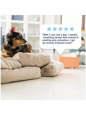 画像7: 【USファブリーズ】プラグインオイルリフィル(2セット入)：トロピカルブレンド