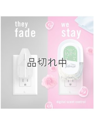 画像4: 【USファブリーズ】プラグインオイルリフィル(2セット入)：ダウニーエイプリルフレッシュ