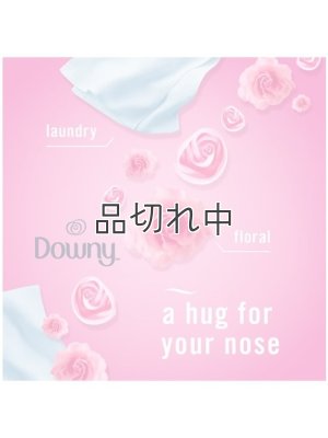 画像5: 【USファブリーズ】プラグインオイルリフィル(2セット入)：ダウニーエイプリルフレッシュ