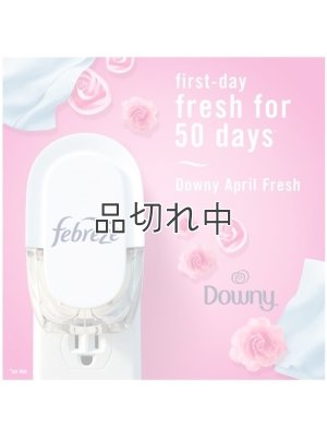 画像3: 【USファブリーズ】プラグインオイルリフィル(2セット入)：ダウニーエイプリルフレッシュ