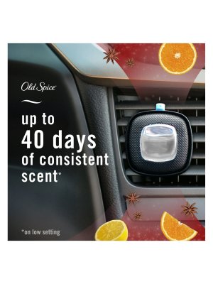 画像5: 【USファブリーズ】車用芳香剤(2個入り)：オールドスパイス Timber(ティンバー)