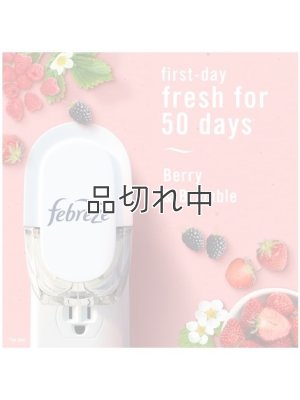 画像4: 【USファブリーズ】プラグインオイルリフィル(2セット入)：ベリー＆ブランブル