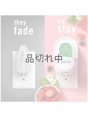 画像5: 【USファブリーズ】プラグインオイルリフィル(2セット入)：ベリー＆ブランブル