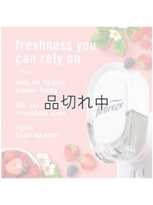 画像3: 【USファブリーズ】プラグインオイルリフィル(2セット入)：ベリー＆ブランブル