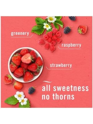 画像2: 【USファブリーズ】プラグインオイルリフィル(2セット入)：ベリー＆ブランブル