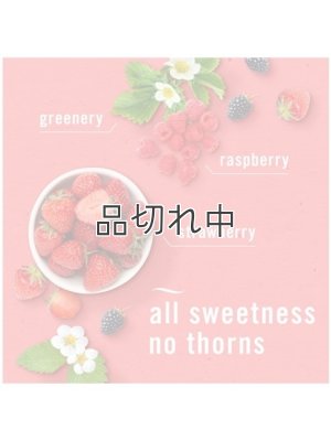 画像2: 【USファブリーズ】プラグインオイルリフィル(2セット入)：ベリー＆ブランブル