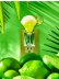 画像1: 【Bath&BodyWorks】香りの強さが調節できる★Wallflowers本体 Scent Control：マルガリータナイトライト (1)