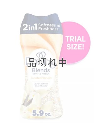 画像1: 【Downy/ダウニー】セントブースター(加香剤)5.9oz：トーストバニラ