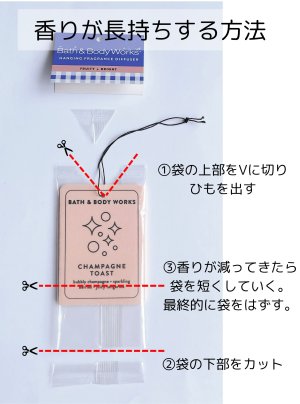 画像3: 【Bath&BodyWorks】ハンギングフレグランスディフューザー(吊り下げ)：フレッシュディテール