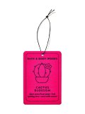 【Bath&BodyWorks】ハンギングフレグランスディフューザー(吊り下げ)：カクタスブロッサム