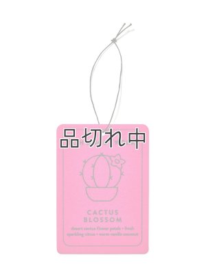 画像1: 【Bath&BodyWorks】ハンギングフレグランスディフューザー(吊り下げ)：カクタスブロッサム