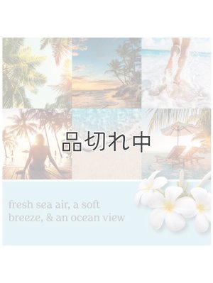 画像3: 【YANKEE CANDLE/ヤンキーキャンドル】2-wickキャンドル（13oz）：ビーチエスケープ