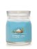 画像1: 【YANKEE CANDLE/ヤンキーキャンドル】2-wickキャンドル（13oz）：ビーチエスケープ (1)