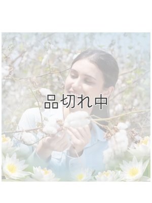 画像2: 【エアーウィック】プラグインオイル本体+リフィル1個セット：コットン＆ホワイトロータス