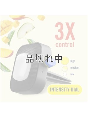 画像6: 【USファブリーズ】車用芳香剤(2個入り)：アップルマンゴーサンシャイン