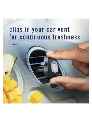 画像4: 【USファブリーズ】車用芳香剤(2個入り)：リネン＆スカイ