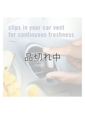 画像4: 【USファブリーズ】車用芳香剤(2個入り)：アップルマンゴーサンシャイン