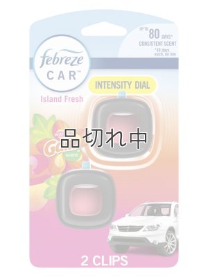 画像1: 【USファブリーズ】車用芳香剤(2個入り)：GAIN ゲインアイランドフレッシュ