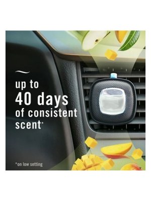 画像3: 【USファブリーズ】車用芳香剤(2個入り)：リネン＆スカイ