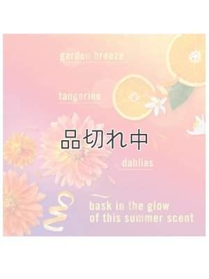 画像4: 【USファブリーズ】プラグインオイルリフィル(2セット入)：サマーゴールデンアワー
