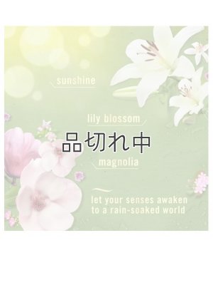 画像4: 【USファブリーズ】プラグインオイルリフィル(2セット入)：モーニングスプリングシャワー