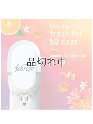 画像3: 【USファブリーズ】プラグインオイルリフィル(2セット入)：サマーゴールデンアワー