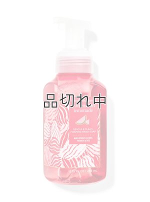 画像1: 【Bath&BodyWorks】フォーミングハンドソープ：ウォーターメロンレモネード