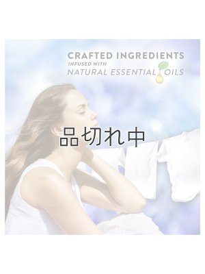 画像3: 【エアーウィック】プラグインオイルリフィル(2個入)：フレッシュリネン