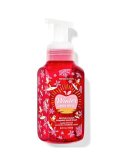 【Bath&BodyWorks】フォーミングハンドソープ：ウィンターキャンディアップル