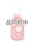 【Bath&BodyWorks】フォーミングハンドソープ：ウィンターキャンディアップル