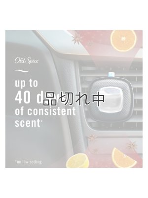 画像4: 【USファブリーズ】車用芳香剤(2個入り)：オールドスパイス