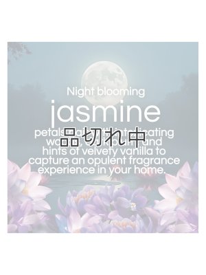 画像3: 【エアーウィック】プラグインオイルリフィル(5個入)：ブラックロータス＆バイオレット