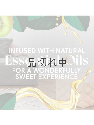 画像4: 【エアーウィック】プラグインオイルリフィル(2個入)：リフレッシングウォーターメロン