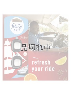 画像6: 【USファブリーズ】車用芳香剤(2個入り)：オールドスパイス