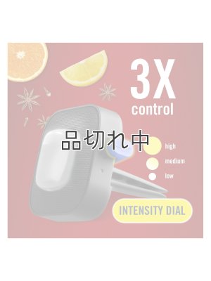 画像3: 【USファブリーズ】車用芳香剤(2個入り)：オールドスパイス