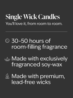 画像6: 【Bath&BodyWorks】《Disney Villainsコラボ》シグネチャー1-wickキャンドル（8oz）：マレフィセント