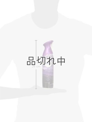 画像3: 【USファブリーズ】エアーフレッシュナー：Mountain (マウンテン)